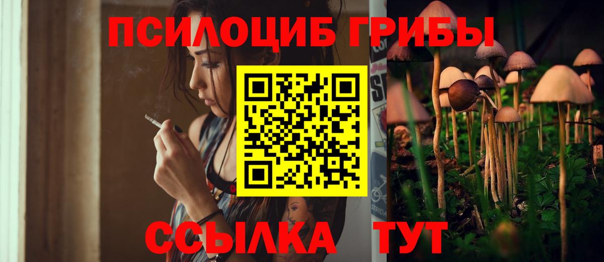 Галлюциногенные грибы Psilocybine cubensis  Вход с VPN  Псилоцибиновые грибы Psilocybine cubensis  Шатура 