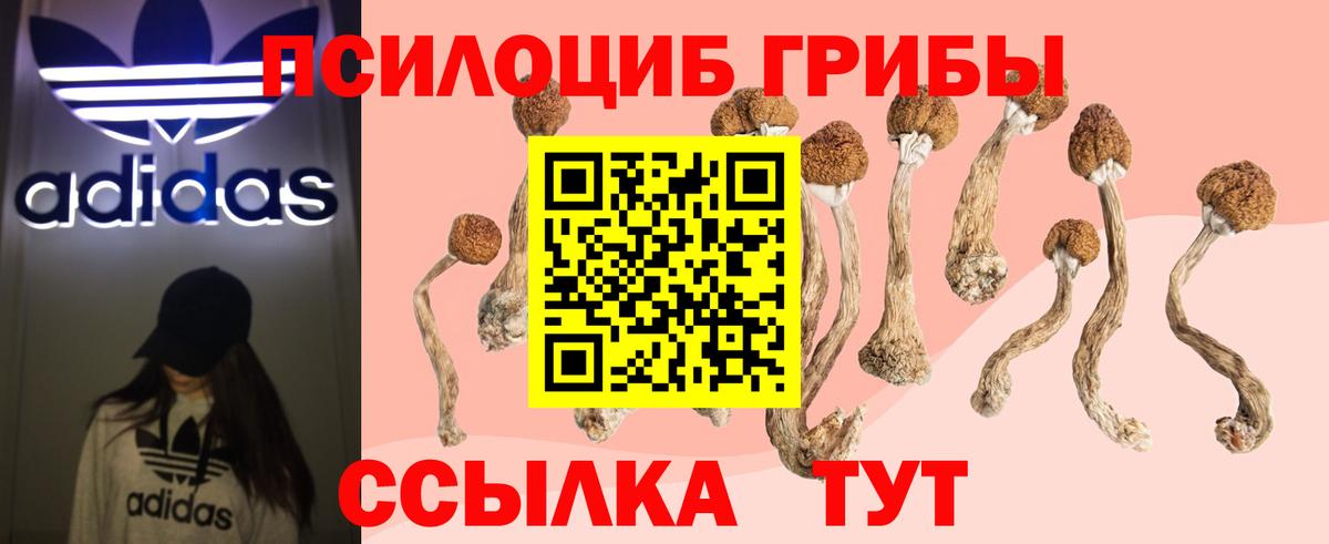 Псилоцибиновые грибы мицелий Шатура